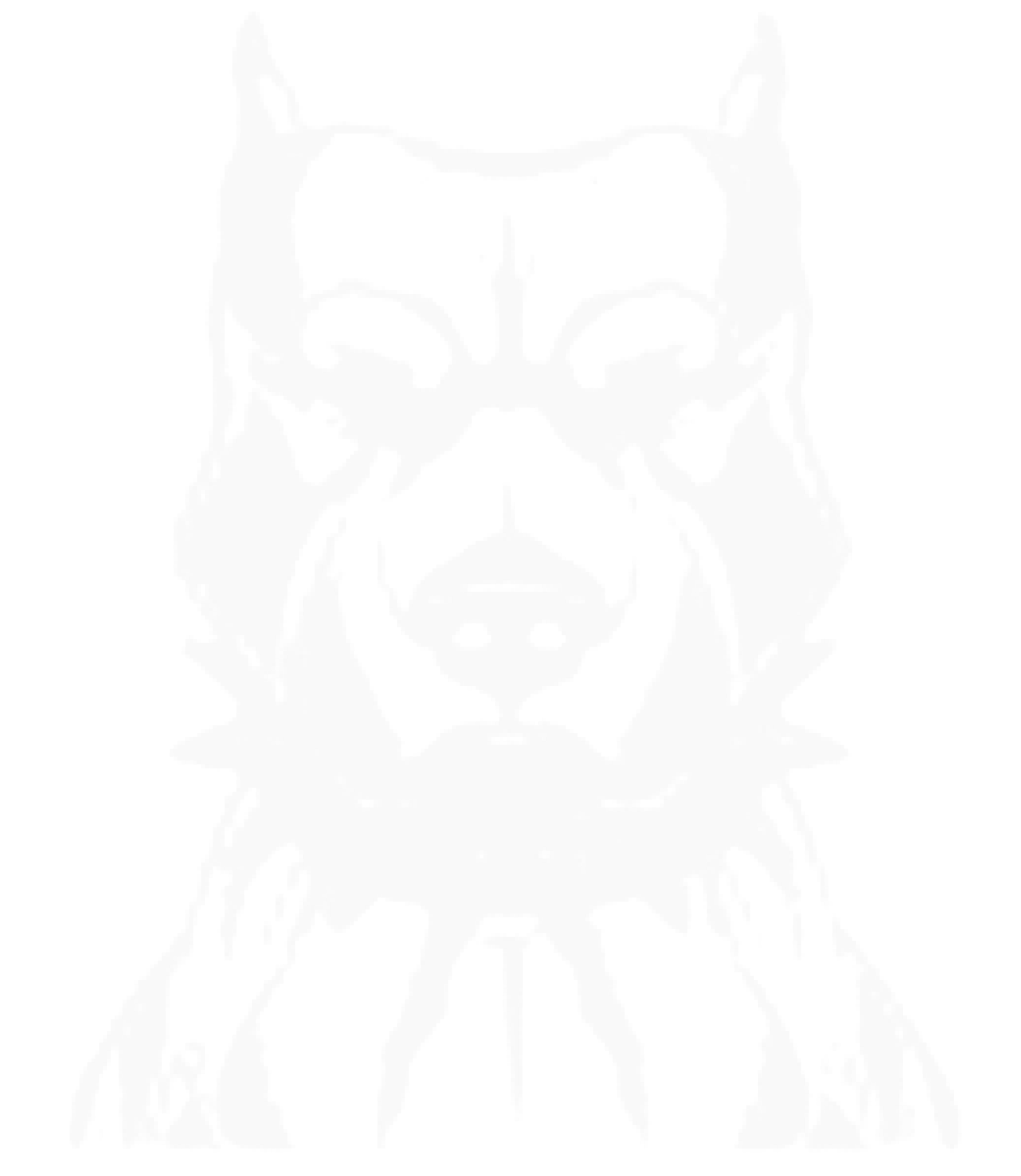 Stylized wolf face illustration